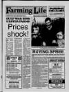 Belfast News-Letter Saturday 09 February 1991 Page 25