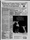 Belfast News-Letter Saturday 09 February 1991 Page 37