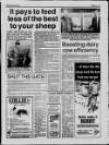 Belfast News-Letter Saturday 09 February 1991 Page 43