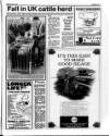 Belfast News-Letter Saturday 06 April 1991 Page 33