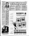Belfast News-Letter Saturday 06 April 1991 Page 39