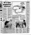 Belfast News-Letter Saturday 06 April 1991 Page 45