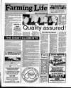 Belfast News-Letter Saturday 13 April 1991 Page 25