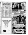 Belfast News-Letter Saturday 13 April 1991 Page 35