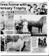 Belfast News-Letter Saturday 01 June 1991 Page 45