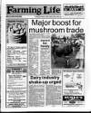 Belfast News-Letter Saturday 08 June 1991 Page 25