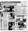 Belfast News-Letter Saturday 08 June 1991 Page 45