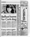 Belfast News-Letter Friday 01 November 1991 Page 19