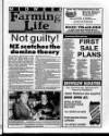 Belfast News-Letter Wednesday 20 November 1991 Page 33