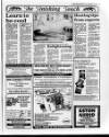 Belfast News-Letter Friday 13 December 1991 Page 17
