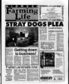 Belfast News-Letter Wednesday 18 December 1991 Page 25