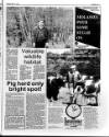 Belfast News-Letter Saturday 11 April 1992 Page 35