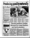 Belfast News-Letter Saturday 11 April 1992 Page 42