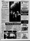 Belfast News-Letter Saturday 01 August 1992 Page 32