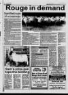 Belfast News-Letter Saturday 12 September 1992 Page 38