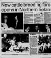 Belfast News-Letter Saturday 26 September 1992 Page 33