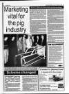 Belfast News-Letter Saturday 10 October 1992 Page 40