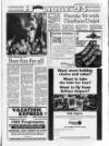 Belfast News-Letter Thursday 07 January 1993 Page 15