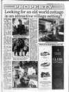 Belfast News-Letter Thursday 07 January 1993 Page 35