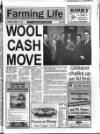 Belfast News-Letter Saturday 09 January 1993 Page 17