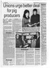 Belfast News-Letter Saturday 30 January 1993 Page 47