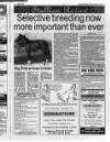 Belfast News-Letter Saturday 06 February 1993 Page 52