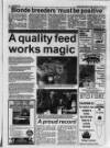 Belfast News-Letter Saturday 13 February 1993 Page 36