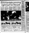 Belfast News-Letter Saturday 17 April 1993 Page 31