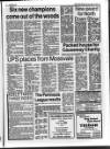 Belfast News-Letter Saturday 15 May 1993 Page 29