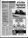 Belfast News-Letter Saturday 22 May 1993 Page 25