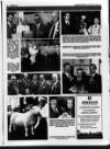 Belfast News-Letter Saturday 22 May 1993 Page 39