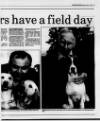 Belfast News-Letter Monday 05 July 1993 Page 17