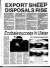 Belfast News-Letter Saturday 07 August 1993 Page 33