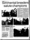 Belfast News-Letter Saturday 07 August 1993 Page 50