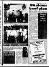 Belfast News-Letter Saturday 07 August 1993 Page 57