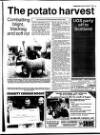Belfast News-Letter Saturday 07 August 1993 Page 61