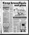 Belfast News-Letter Saturday 04 September 1993 Page 49