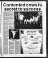 Belfast News-Letter Saturday 06 November 1993 Page 45