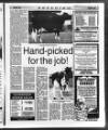 Belfast News-Letter Saturday 06 November 1993 Page 53