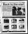 Belfast News-Letter Saturday 06 November 1993 Page 57