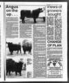 Belfast News-Letter Saturday 06 November 1993 Page 59