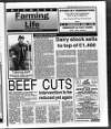 Belfast News-Letter Wednesday 17 November 1993 Page 25