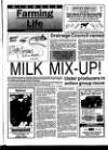 Belfast News-Letter Wednesday 22 December 1993 Page 33