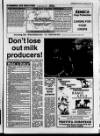 Belfast News-Letter Saturday 12 February 1994 Page 41
