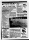 Belfast News-Letter Wednesday 05 January 1994 Page 23