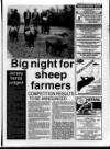 Belfast News-Letter Saturday 29 January 1994 Page 45