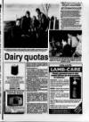 Belfast News-Letter Saturday 12 February 1994 Page 43