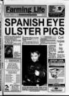 Belfast News-Letter Saturday 19 February 1994 Page 29