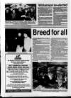 Belfast News-Letter Saturday 19 February 1994 Page 60