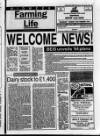 Belfast News-Letter Wednesday 23 February 1994 Page 45
